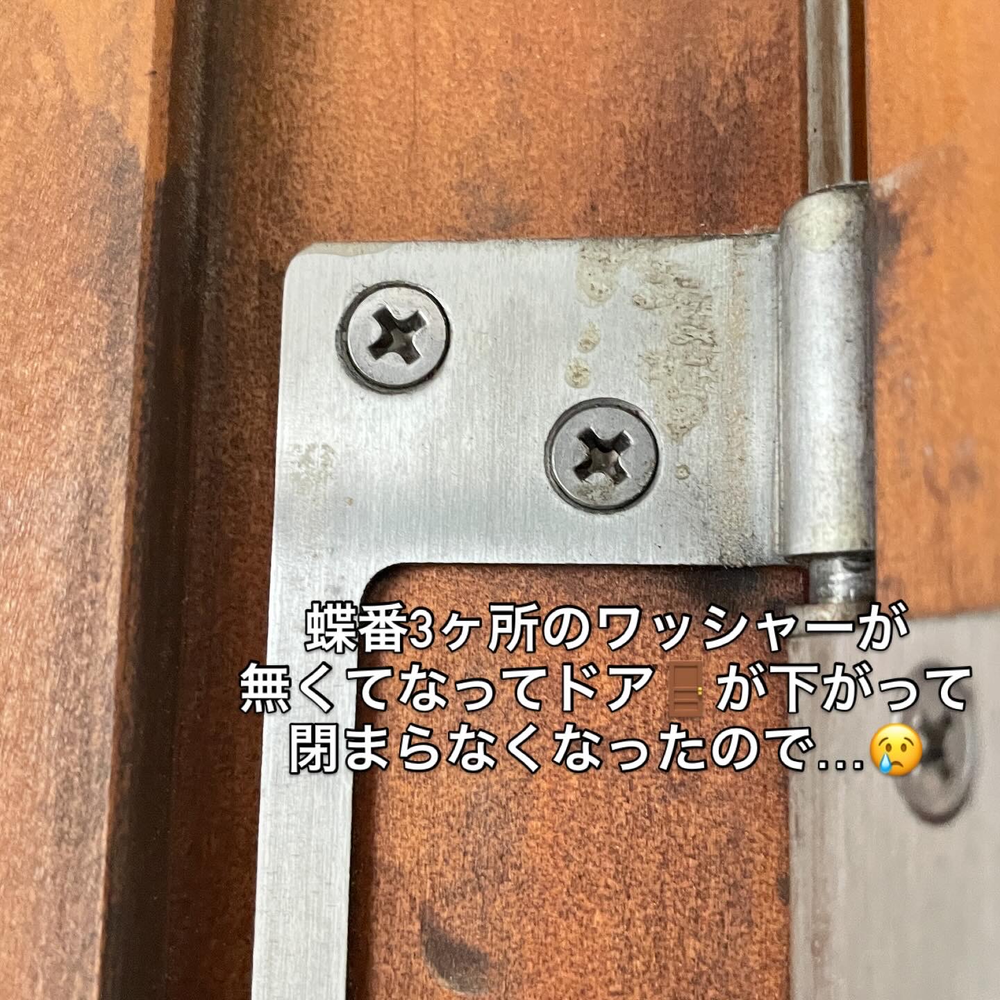 フラッシュ丁番交換🚪