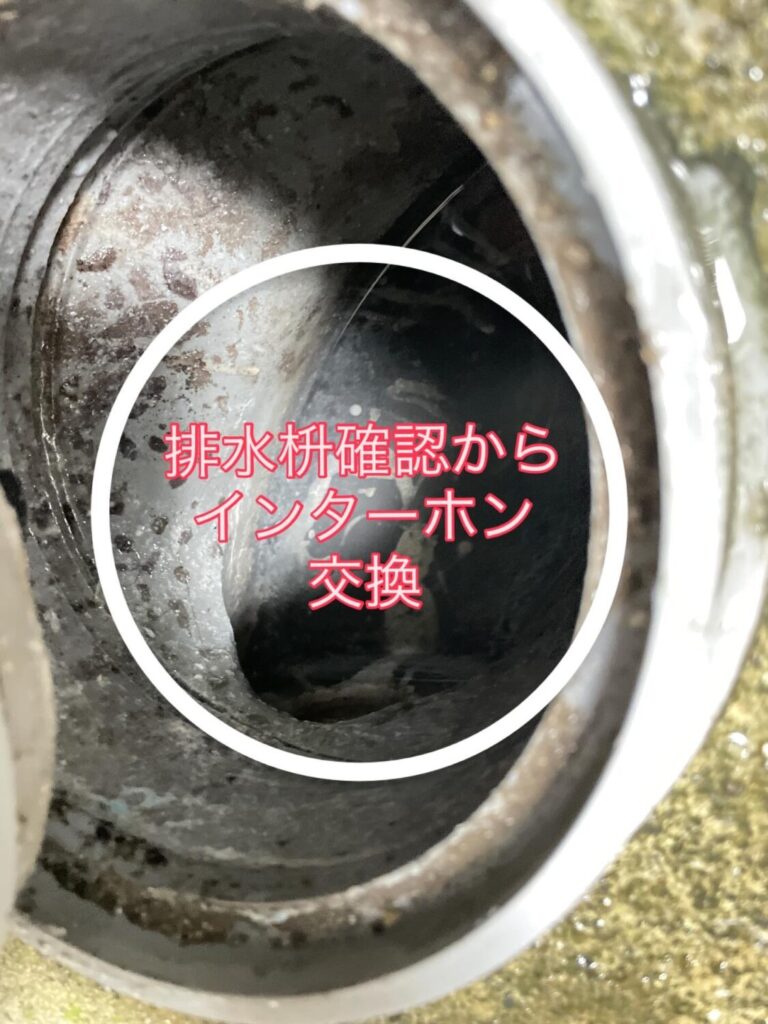 BDFH9885