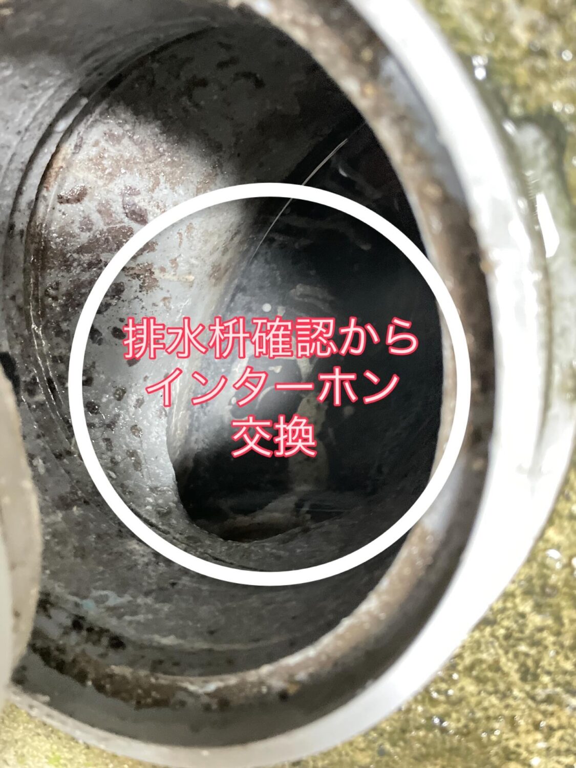 排水桝とインターホン交換