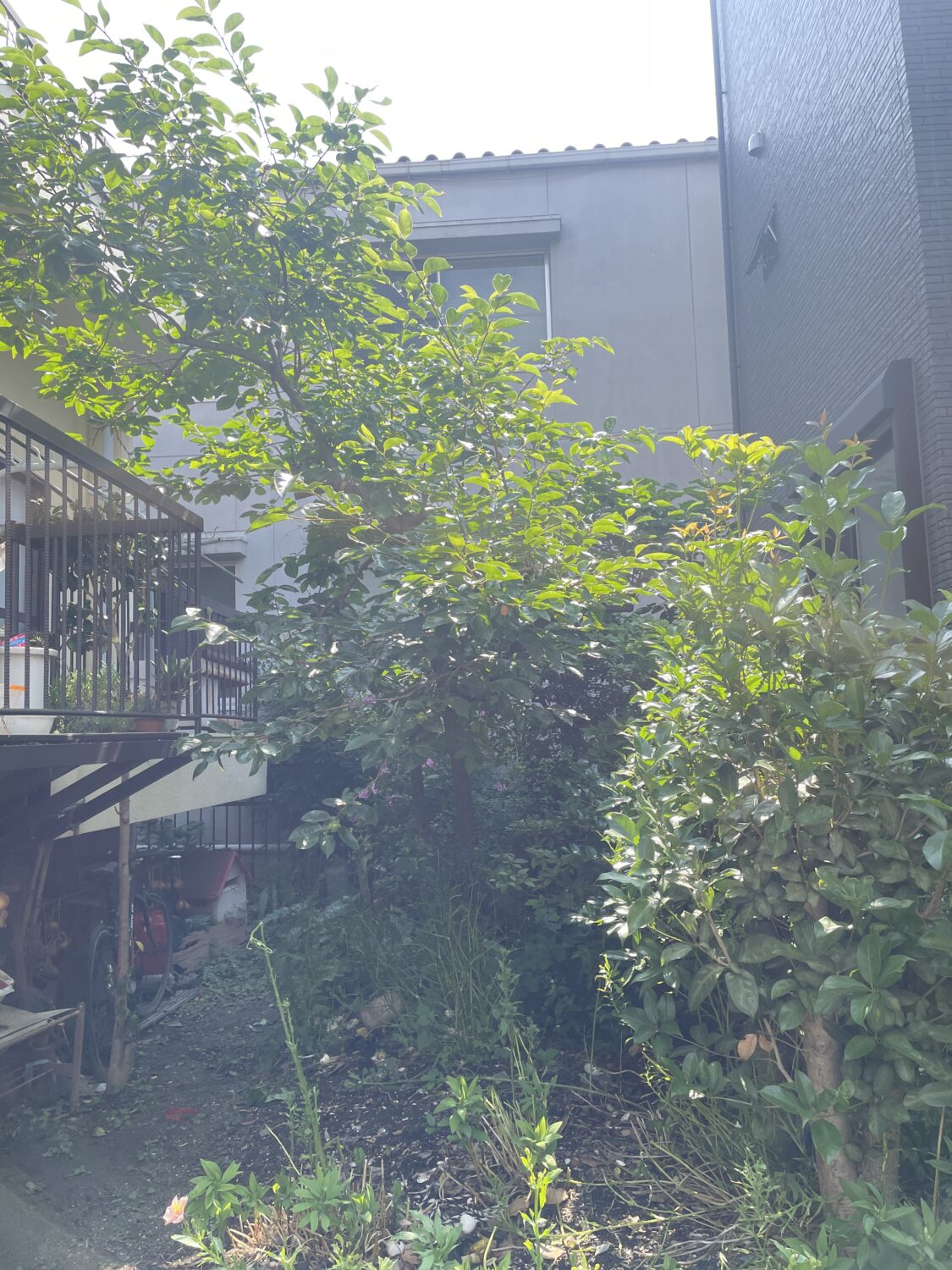 夏本番前に🌞