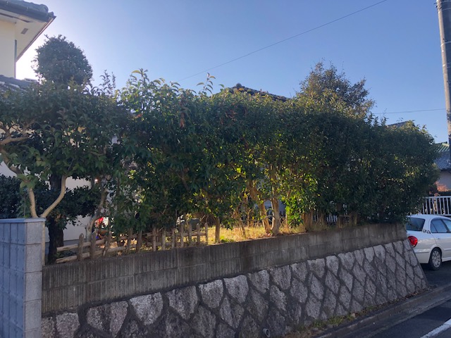 庭木伐採・剪定