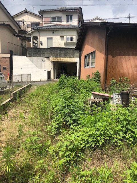 草刈り2日目