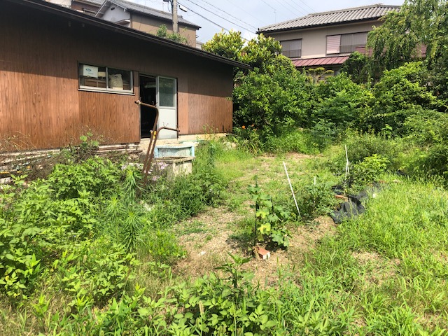 草刈り依頼🤩380㎡❗️